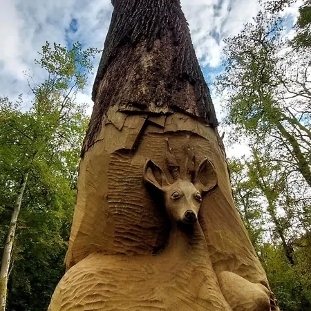 Le Grain De Sel Hébergement de vacances *