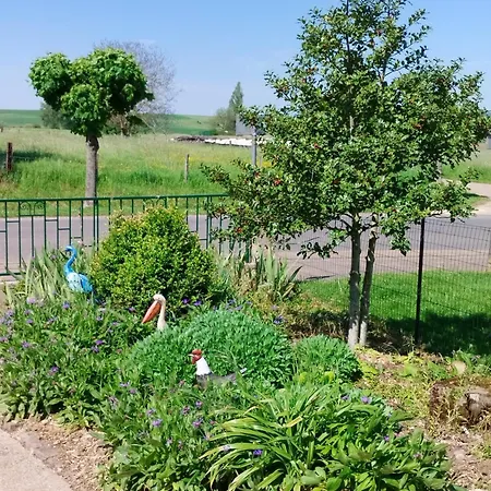 Hébergement de vacances Le Grain De Sel Hampont