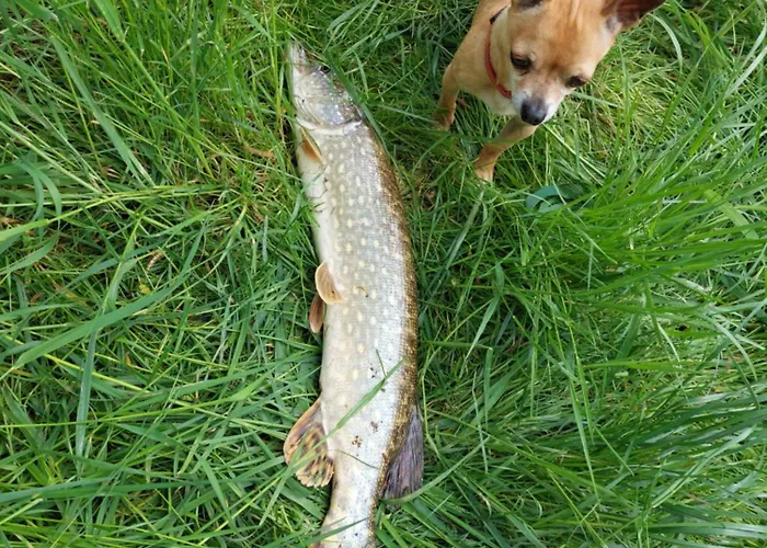 Le Grain De Sel Holiday home